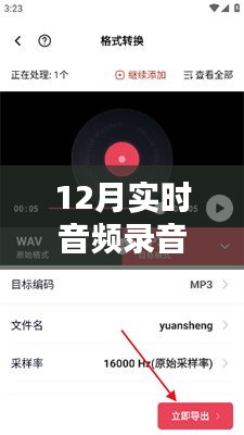 小紅書獨家揭秘，聆聽冬季實時音頻錄音，感受秘密聲音的魅力！