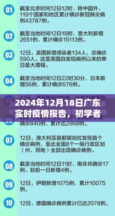 廣東實(shí)時疫情報(bào)告詳解，初學(xué)者指南與步驟解析（2024年12月版）
