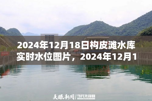 雞飛狗跳 第4頁