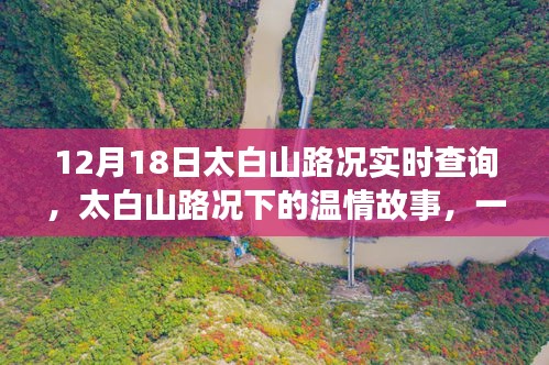 太白山路況實(shí)時(shí)查詢，冬日暖陽下的溫情故事與同行之路
