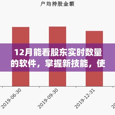 掌握新技能，使用軟件查看股東實時數量的詳細指南（適合初學者與進階用戶）——十二月實時股東數量監控軟件介紹