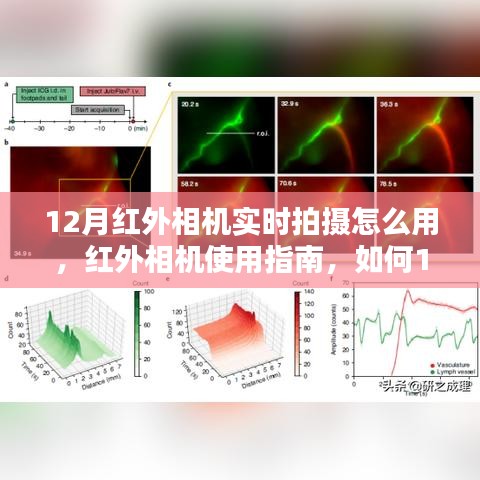 12月紅外相機實時拍攝指南，使用紅外相機進行高效拍攝的操作步驟