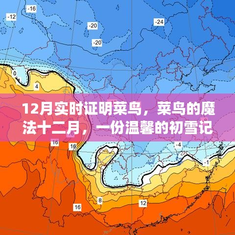 菜鳥的魔法十二月，初雪記憶與友情故事的溫馨之旅
