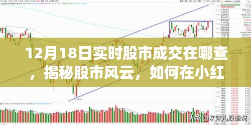 股市風(fēng)云揭秘