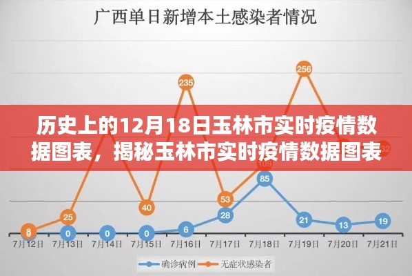 歷史上的12月18日玉林市疫情數(shù)據(jù)圖表深度解析，實時數(shù)據(jù)與趨勢分析