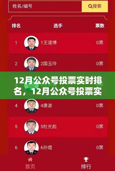 12月公眾號投票實時排名，全面評測與深度解析