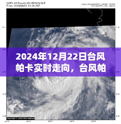 臺風帕卡來襲，家庭溫馨避風港灣實況追蹤（2024年12月22日）