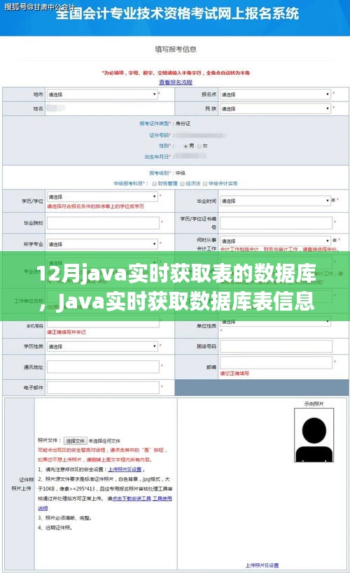 Java實時獲取數據庫表信息的演變與當下影響力，歷史背景、關鍵進展及影響分析