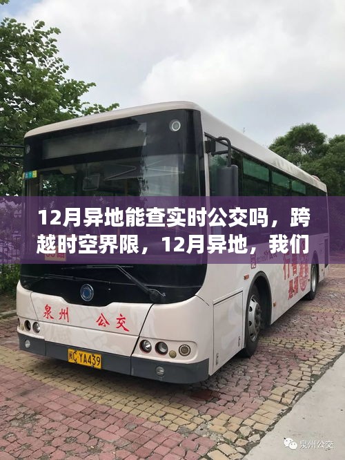 12月異地實時公交查詢，跨越時空界限，掌握動態(tài)成就自信與夢想