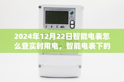 智能電表下的實時用電探秘與溫馨時光體驗（2024年12月22日）