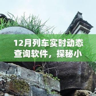 探秘寶藏店，揭秘十二月列車實時動態查詢軟件，小巷深處的出行助手