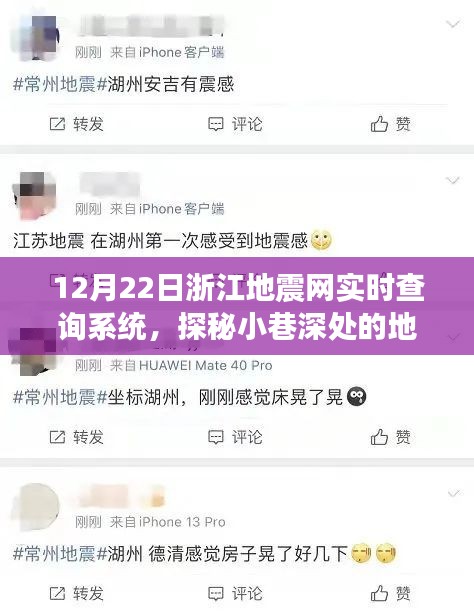 浙江地震網實時查詢系統揭秘，小巷深處的地震監測體驗館