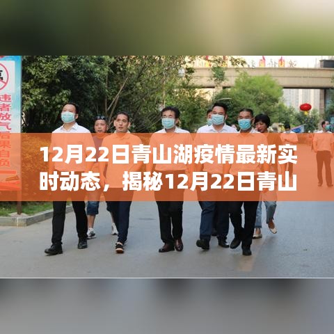 揭秘青山湖疫情最新智能監控動態，科技守護生活，智能時代實時更新