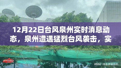 深遠影響分析