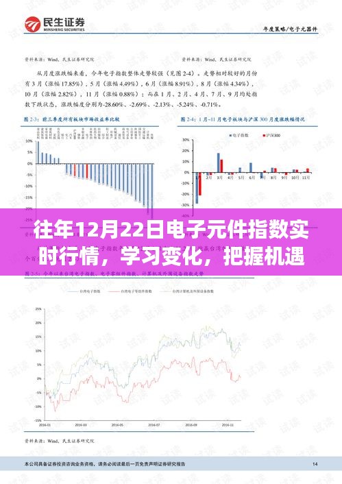 歷年12月22日電子元件指數(shù)深度解析，實時行情、學習變化與勵志故事標題建議，歷年電子元件指數(shù)背后的機遇與挑戰(zhàn)，深度解析與勵志故事分享。