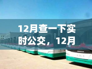 12月實時公交查詢，便捷與局限并存