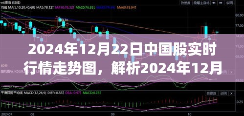 從某某觀點(diǎn)解析，2024年12月22日中國(guó)股市實(shí)時(shí)行情走勢(shì)圖深度剖析