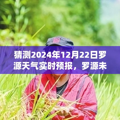 羅源天氣預報，探索變化中的學習，自信成就之源的未來氣象預測（2024年12月22日實時更新）