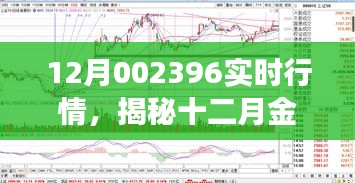 揭秘十二月金融風(fēng)云，股票002396實時行情深度解析與聚焦股票動態(tài)