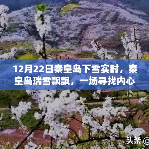 秦皇島瑞雪飄飄，雪域之旅尋找內(nèi)心平靜的時(shí)刻