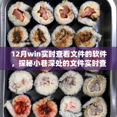 探秘十二月實時查看文件寶藏，軟件與隱藏店鋪的雙重驚喜