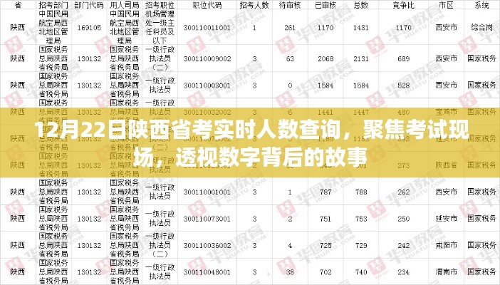 陜西省考實時人數(shù)查詢，數(shù)字背后的故事聚焦考試現(xiàn)場