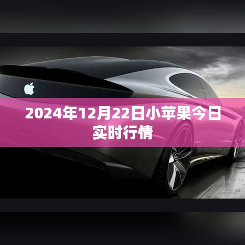 小蘋果實時行情分析（最新動態，今日行情）