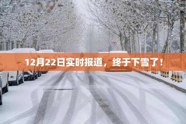 終于下雪了！最新實時報道揭示冬日美景