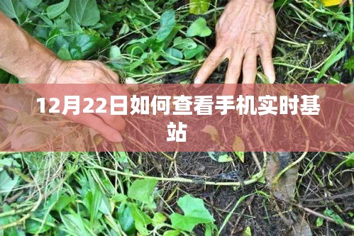 12月22日手機實時基站查看指南