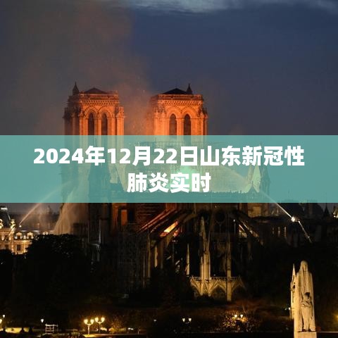 山東新冠性肺炎實時動態(tài)更新 2024年12月最新消息