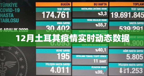 土耳其十二月疫情實時更新數(shù)據(jù)
