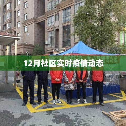 社區(qū)疫情動態(tài)實(shí)時(shí)更新（十二月版）