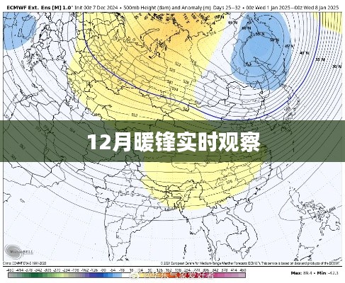 暖鋒觀察，揭秘十二月最新動態