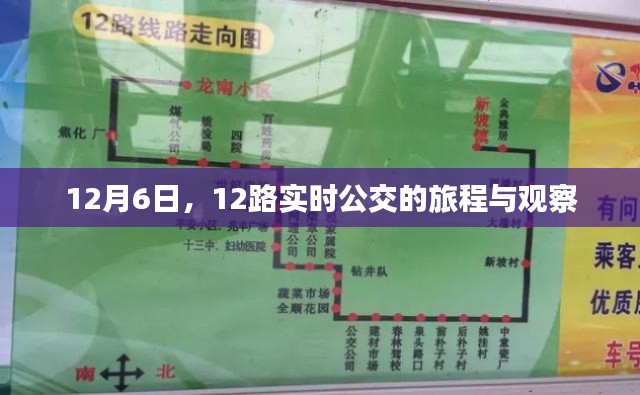 12月6日實時公交觀察，公交旅程揭秘