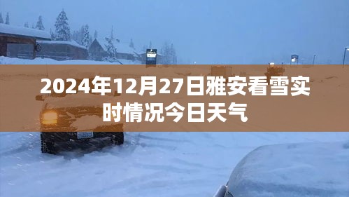 2024年12月 第56頁