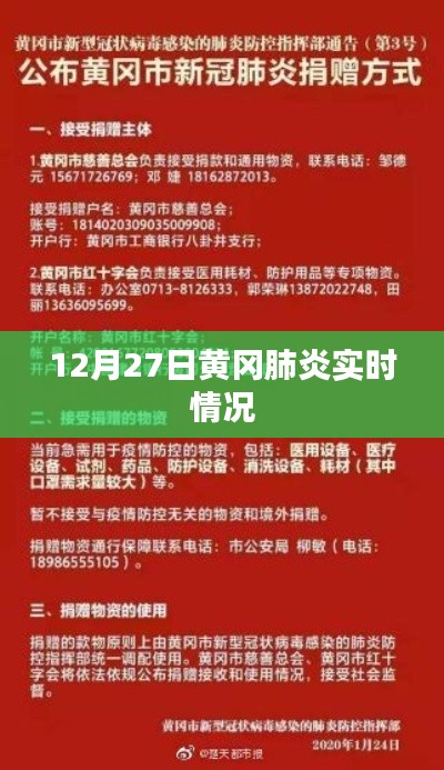 黃岡肺炎實時情況報告，最新數據發布
