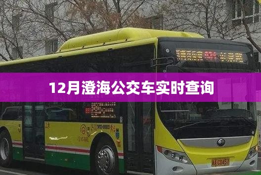 澄海公交實時查詢系統，掌握出行時刻表