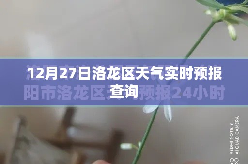 實時天氣信息