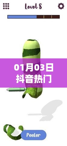 抖音熱門歌曲二手玫瑰，揭秘一月三日最炫旋律