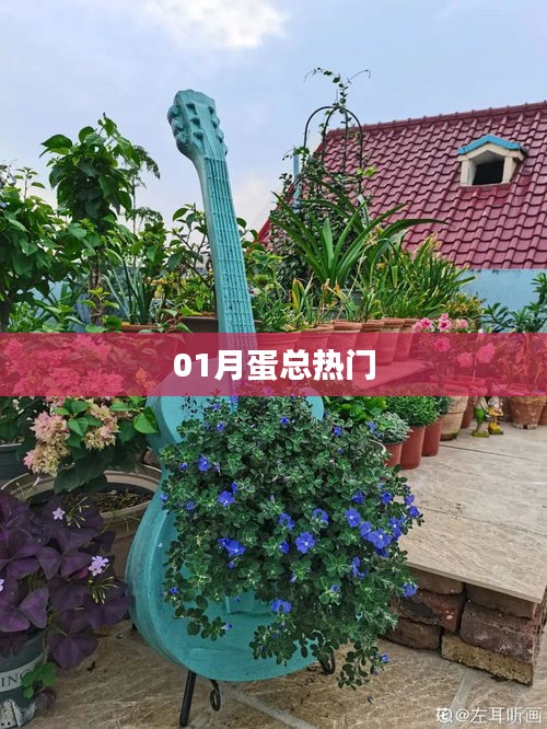蛋總熱門趨勢(shì)解析