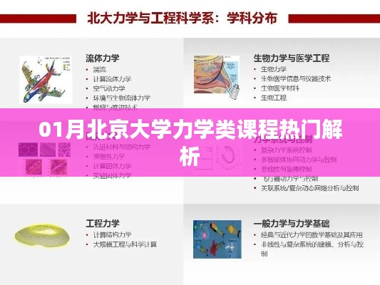 北京大學(xué)力學(xué)類課程深度解析，熱門課程揭秘