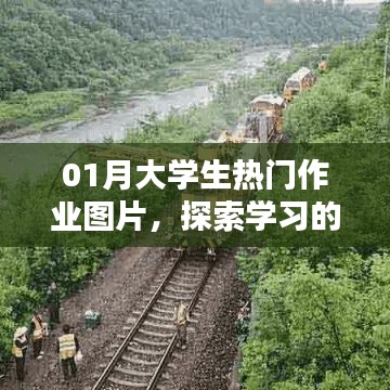 01月大學生熱門作業圖片，開啟學習新視界探索