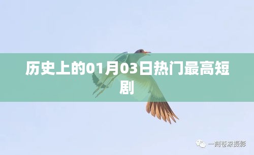 1月3日歷史熱門短劇盤點
