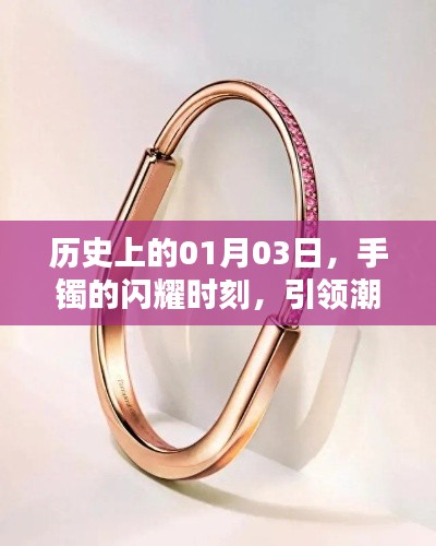鳳凰于飛 第3頁