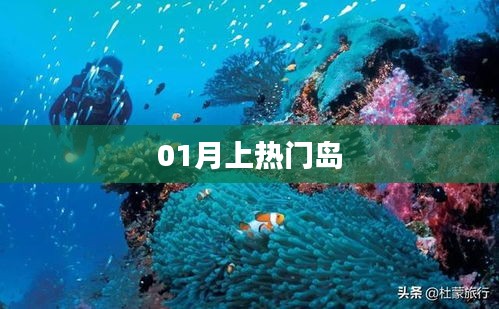 熱門島一月矚目時刻！