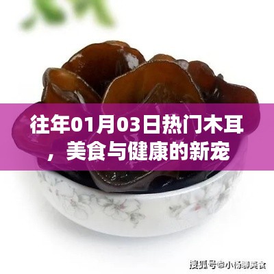 美食界的健康寵兒，熱門木耳的養(yǎng)生魅力