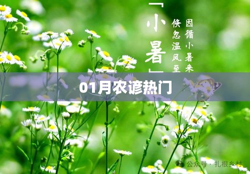 貴不召驕 第3頁(yè)