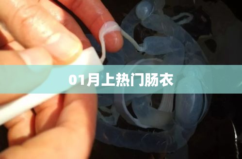 腸衣成為熱門話題！