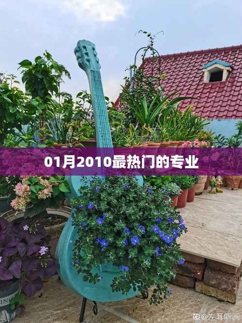 2010年一月熱門專業盤點