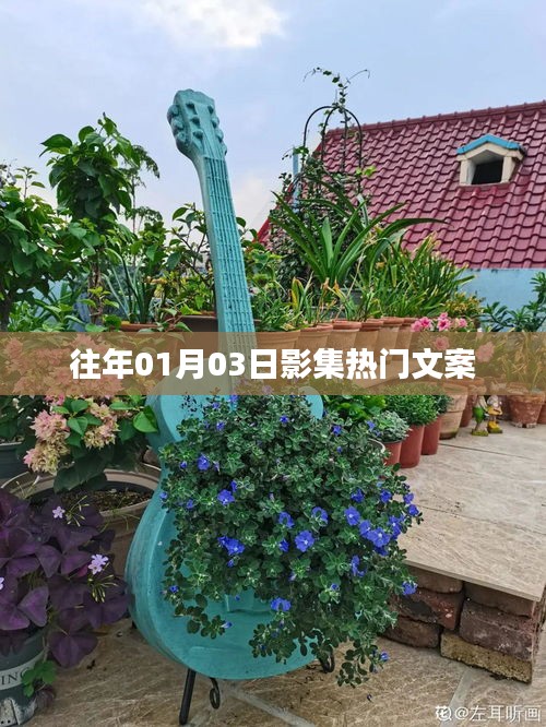 熱門影集回顧，歷年一月三日精選瞬間